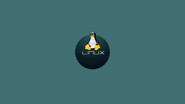 解决WSL中的网络互通问题 实现主机与Linux子系统间的无缝连接 的文章头图