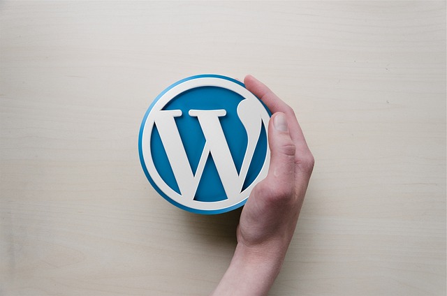 WordPress 网站搭建指南：手动、面板、Docker 与托管平台对比 的封面图